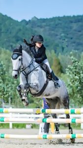 Uncompromising Safety and Style: The Ultimate Guide to Equestrian Helmets
